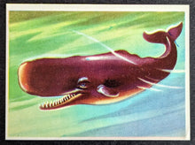 Load image into Gallery viewer, 1950s Wonders Of The Animal Kingdom Cards Set Of 400 With 1 Wrapper Vintage
