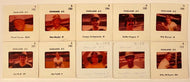 1976 MLB Baseball American League 35mm Slides (10) Oakland Athletics A's Fingers