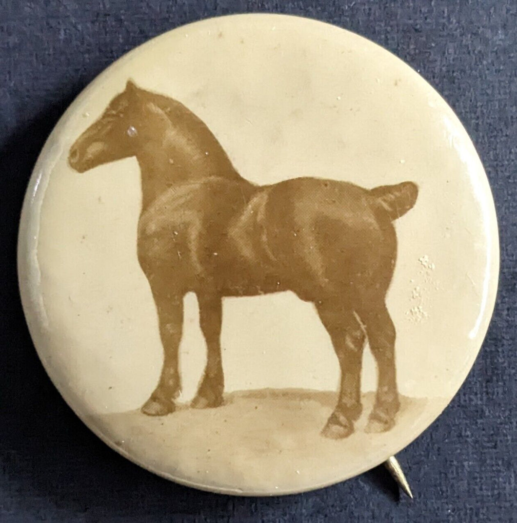 1920s Toronto Canadian National Exhibition Horse Show Pinback Vintage Pin CNE