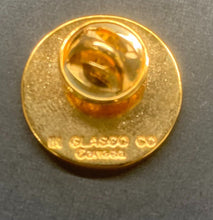 Load image into Gallery viewer, 2000 Hockey Night in Canada NHL All-Star Game Staff + Guests + VIP Lapel Pins
