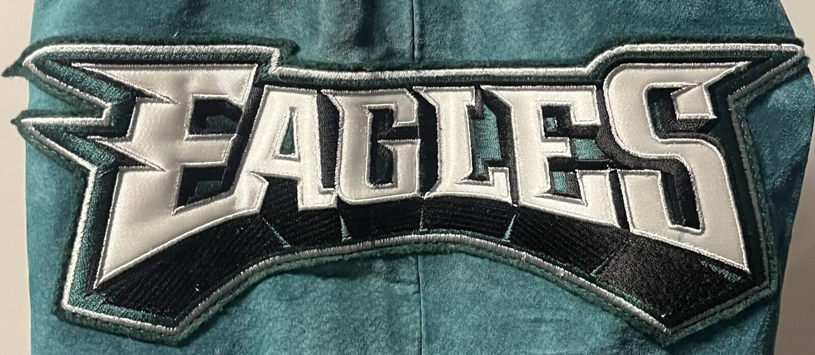 Philadelphia Eagles NFL Football Vintage Leather Jacket G