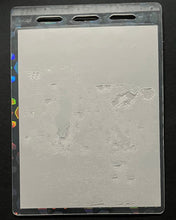 Load image into Gallery viewer, 1994 FIFA World Cup Diego Maradona Player Credential Soccer Stadium Pass Futbol
