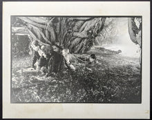 Load image into Gallery viewer, 1995 Jumanji 8 Promotional Photos Robin Williams Bonnie Hunt Kirsten Dunst VTG
