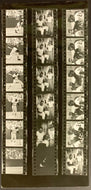 1967 Willie Mays San Francisco Giants MLB Star Vintage Contact Photo Sheet