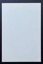 Load image into Gallery viewer, 1950-64 Beehive Corn Syrup Group 3 Hockey Photo Ted Lindsay NHL
