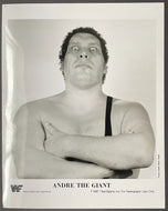 1987 Andre the Giant WWF Wrestlemania III Original Publicity Photo Steve Taylor