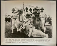 1980 Type 1 Photo Devo Visit to Walt Disney World Rolling Stone Vintage LOA