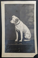 Rare Circa Late 1800-Early 1900 Postcard Nipper the Dog Vintage Historical