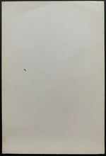 Load image into Gallery viewer, 1964-1967 NHL Hockey Bee Hive Premium Chicago Blackhawks Dave Dryden Photo
