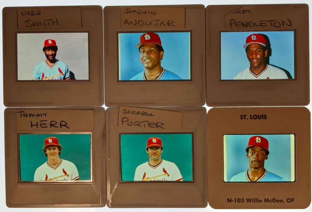 St. Louis Cardinals 6 Different 35mm Slides League Issued Vintage MLB