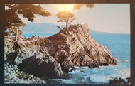 1970s Lone Cypress on Pebble Beach California Carmel Postcard Vintage