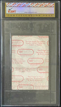 Load image into Gallery viewer, 1991 Vintage Neil Young Crazy Horse Unused Ragged Glory Tour Backstage Pass
