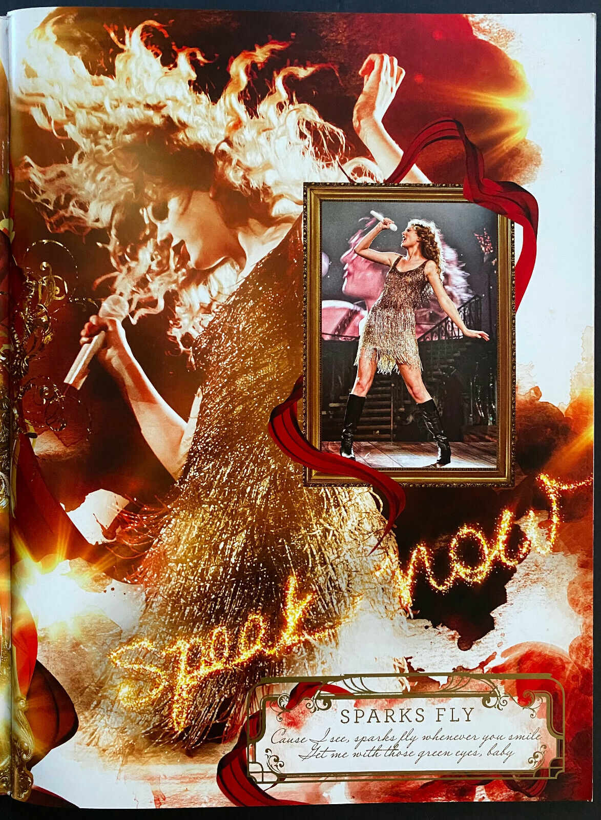 Taylor Swift Speak Now Program