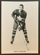 1966-67 Toronto Maple Leafs Rookie Photo Brian Conacher Cup Winning Season