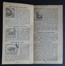 Load image into Gallery viewer, 1900s Promotional Agricultural Booklet Issued By International Stock Food Co.

