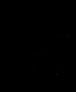 1984 Minor Bantam Tournament Hockey Program VTG Toronto Red Wings