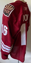 Load image into Gallery viewer, Mike York Phoenix Coyotes Game Issued Hockey Jersey NHL Team LOA Reebok
