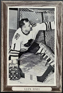 1964-1967 NHL Hockey Bee Hive Premium Chicago Blackhawks Glenn Hall Photo