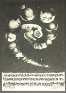 1968 Pink Floyd Family Dog Avalon Ballroom Postcard Handbill Wainwright Art