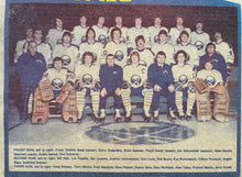 Load image into Gallery viewer, 1976-77 Buffalo Sabres NHL Hockey Stanley Cup Playoffs Team Photo Pennant
