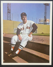 Load image into Gallery viewer, 1964 MLB Baseball Boston Red Sox Official Season Yearbook + Pesky Insert Photo
