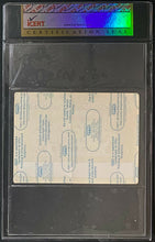 Load image into Gallery viewer, 1996 Tina Turner Wildest Dreams World Tour All Access Workers Backstage Pass
