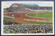 Circa 1920s Automobile Park Racing Track Postcard Springfield Massachusetts