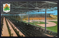 c1930's Maple Leaf Stadium Postcard International League Baseball Toronto