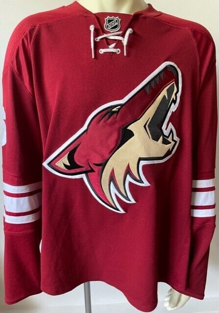 Mike York Phoenix Coyotes Game Issued Hockey Jersey NHL Team LOA