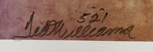 Load image into Gallery viewer, 1988 Vintage Signed MLB Baseball 500 Home Run Hitters Autographed x 11 Print JSA
