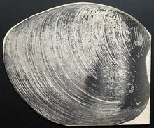 Load image into Gallery viewer, 1950&#39;s Restaurant Menu Chris&#39; Seahorse Grill Photos 7 Boats Tours Fishing +
