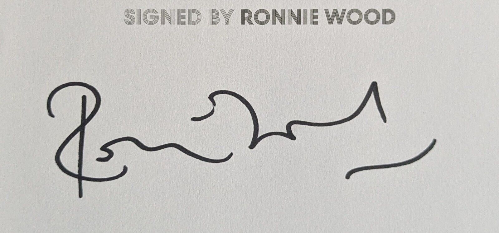 Ronnie Wood Artist Autographed Ltd. Ed #71/250 Signed HC