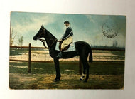 1900 Racetrack Postcard Vintage Horse Racing Postmarked 1907