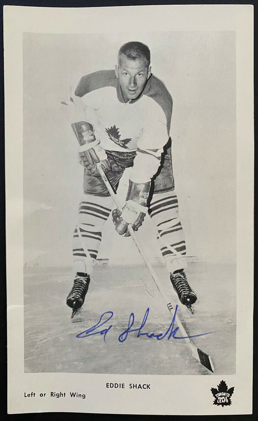 c1964 Toronto Maple Leafs Eddie Shack Signed Autographed NHL Hockey Photo