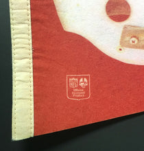 Load image into Gallery viewer, Vintage NFL Football St, Louis Cardinals Pennant Helmet Logo Full Size 29"

