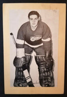 Vintage 1944-1964 NHL Terry Sawchuk Beehive Group II Photo Detroit Red Wings