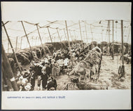 1920s Type 1 Ringling Brothers and Barnum and Bailey Circus Photo Vintage LOA