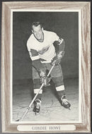 Vintage Gordie Howe Group 3 Bee Hive Photo NHL Hockey Detroit Red Wings