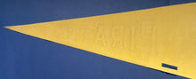 Load image into Gallery viewer, 1969 Pittsburgh Pirates Team Photo Full Size Pennant Baseball Roberto Clemente
