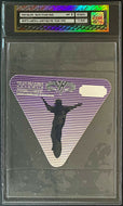 1995 Van Halen North America Ampitheatre Tour Backstage Pass Vintage iCert