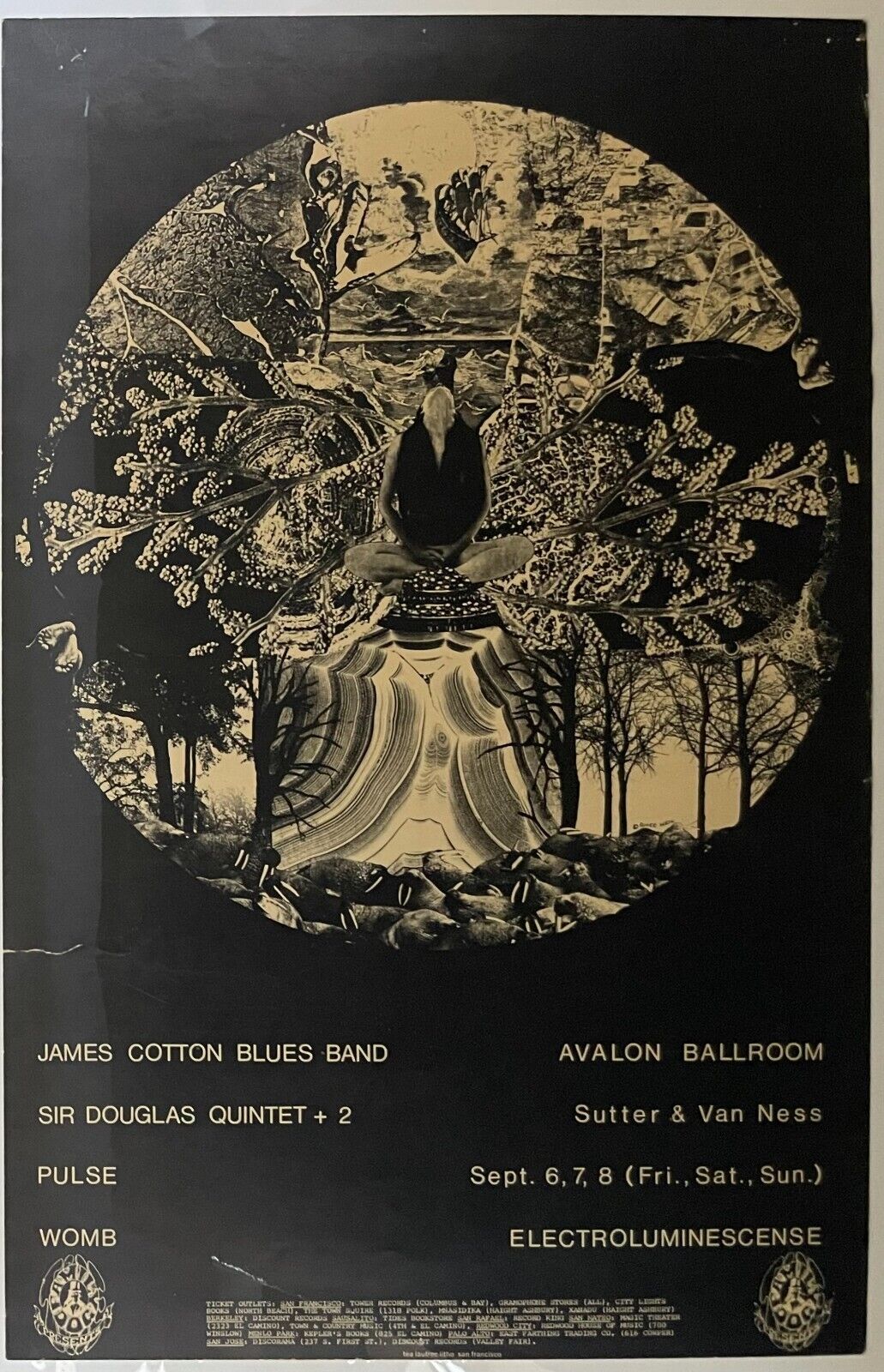 1968 Family Dog Bill Graham Concert Poster James Cotton Blues Band FD-136