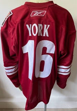 Load image into Gallery viewer, Mike York Phoenix Coyotes Game Issued Hockey Jersey NHL Team LOA Reebok
