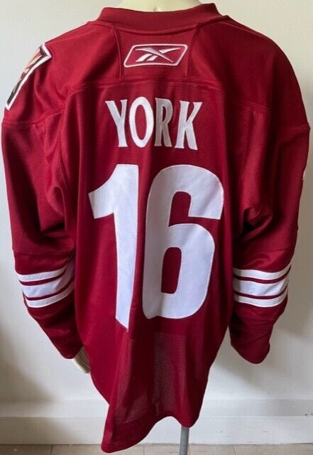 Mike York Phoenix Coyotes Game Issued Hockey Jersey NHL Team LOA Reebok