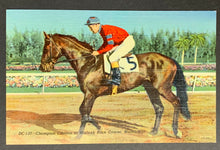 Load image into Gallery viewer, 1948 Vintage Horse Racing Postcard Triple Crown Winner Unposted Hialeah Races
