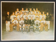 1971/1972 Boston Bruins Stanley Cup Champion Photo Hockey NHL Vintage Orr
