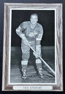 1950-64 Beehive Corn Syrup Group 3 Hockey Photo Ted Lindsay NHL