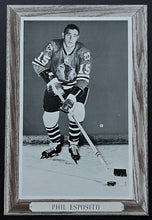 Load image into Gallery viewer, 1950-64 Beehive Corn Syrup Group 3 Hockey Photo Phil Esposito NHL
