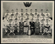 1948-49 Vintage NHL Hockey Toronto Maple Leafs Stanley Cup Team Photo Kennedy