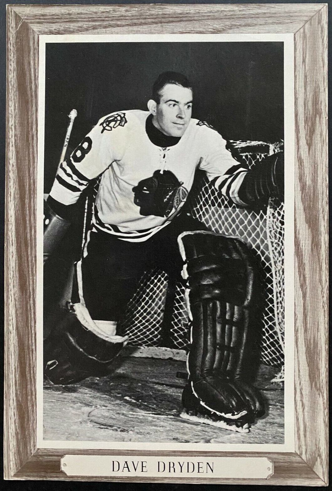 1964-1967 NHL Hockey Bee Hive Premium Chicago Blackhawks Dave Dryden Photo