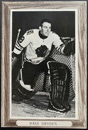 1964-1967 NHL Hockey Bee Hive Premium Chicago Blackhawks Dave Dryden Photo
